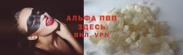 jwh Верея