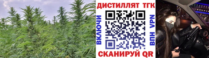 Купить где  Красновишерск  ТГК THC oil 